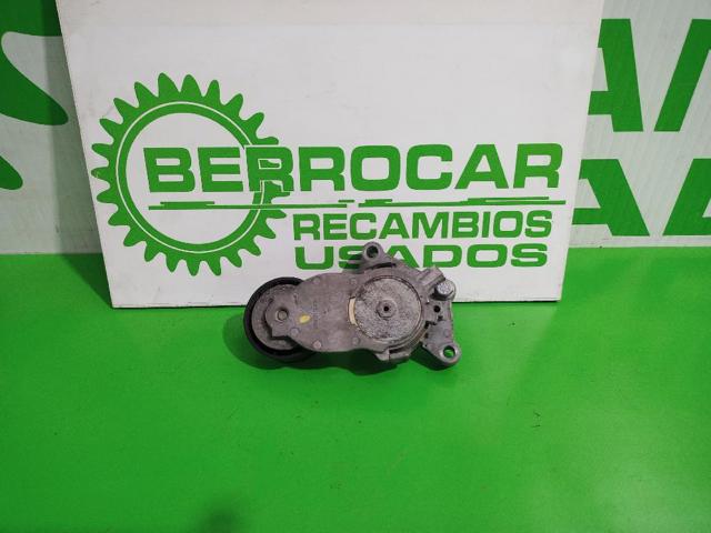 825809 Peugeot/Citroen