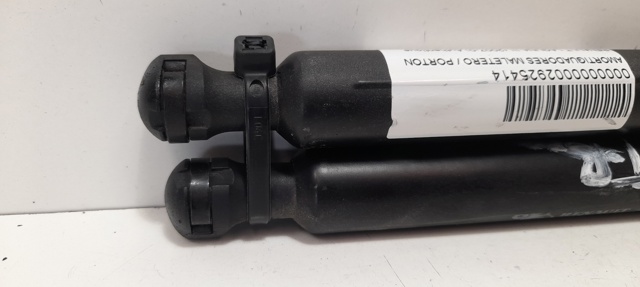 844300001R RENAULT Amortiguador de la tapa del maletero  disponible Alicante