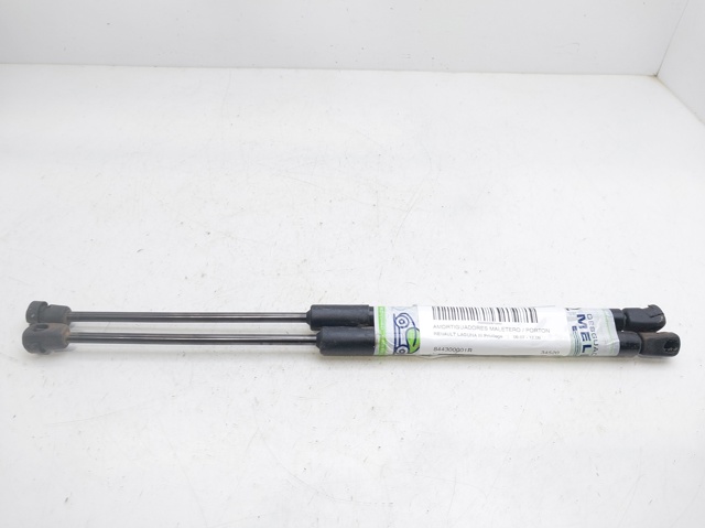 844300001R Renault (RVI)