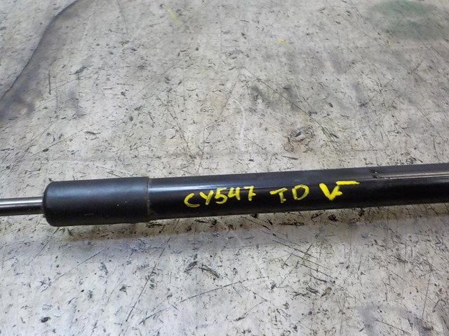 844300009R Amortiguador maletero  en stock Granada