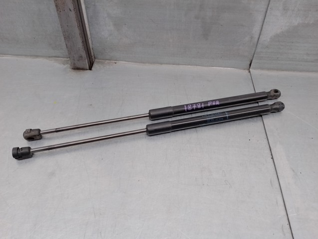 844300009R RENAULT Amortiguador maletero comprar Bilbao