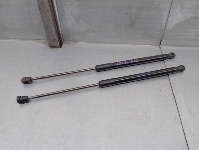 844300009R RENAULT Amortiguador maletero  en stock Gandía