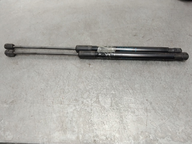 844300009R RENAULT Amortiguador de la tapa del maletero  comprar en Oviedo