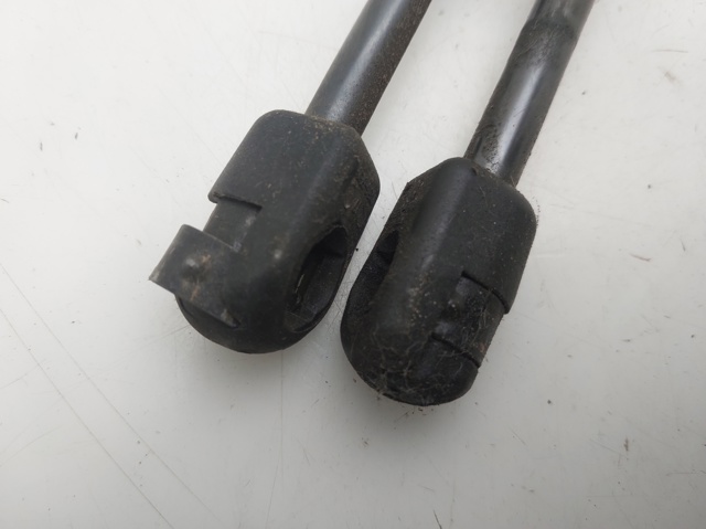RENAULT 844300009R Amortiguador maletero  en stock Valencia
