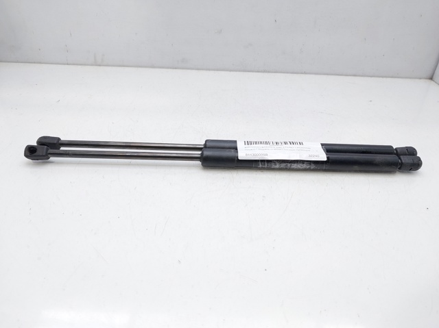 844300009R Renault (RVI)