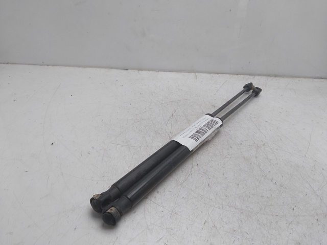 844300009R Renault (RVI)
