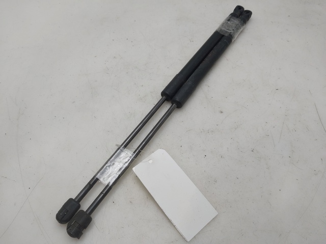 844300009R Amortiguador maletero  en stock Sabadell