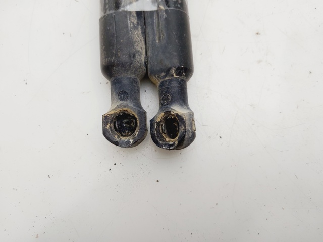 844301324R RENAULT Amortiguador de la tapa del maletero  comprar en Jaén