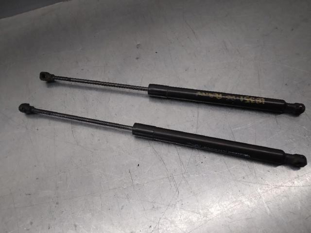 844301324R RENAULT Amortiguador de la tapa del maletero  disponible Alicante