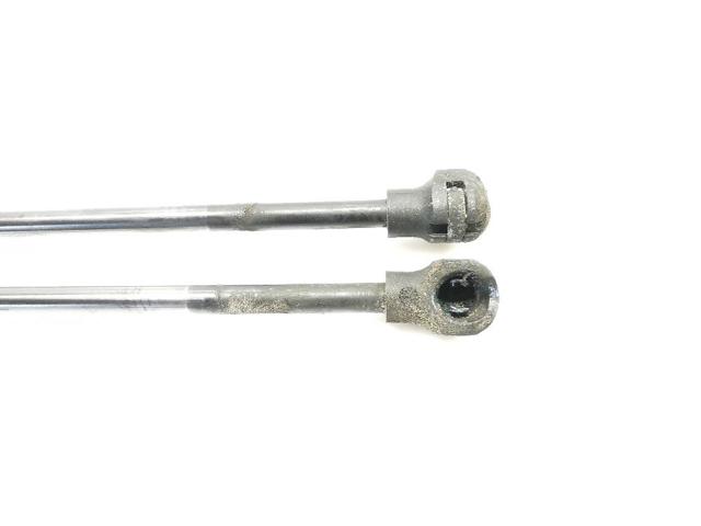 844301324R RENAULT Amortiguador maletero  en stock Córdoba