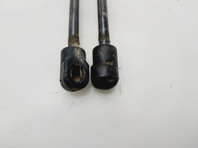 844301324R RENAULT Amortiguador maletero  en stock Gandía