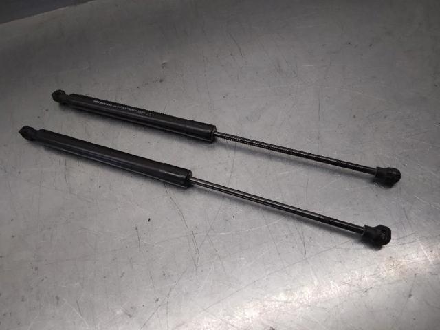 844301324R RENAULT Amortiguador maletero  en stock Huelva