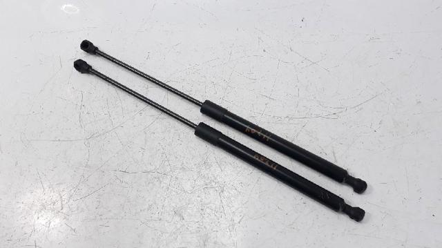 844301324R RENAULT Amortiguador maletero comprar Bilbao