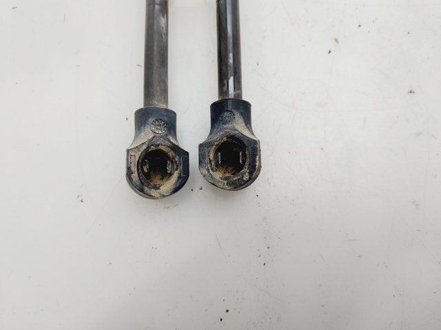 844301324R Amortiguador maletero  en stock Granada