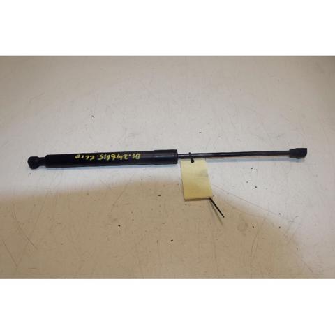 844307620R RENAULT Amortiguador maletero comprar Bilbao