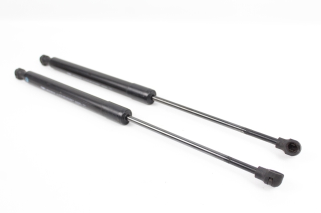 844307620R RENAULT Amortiguador de la tapa del maletero  comprar en Jaén