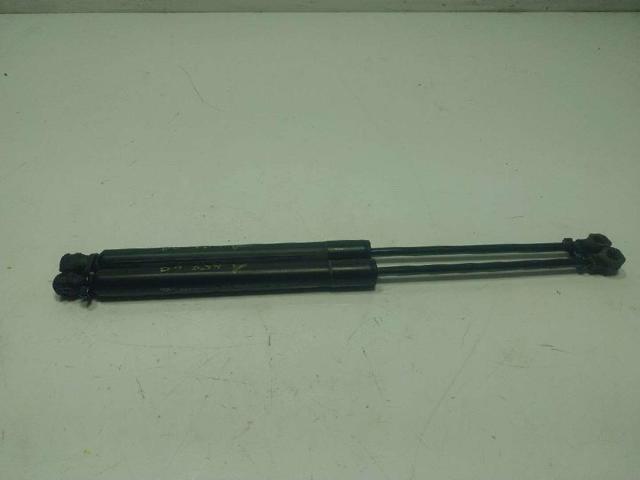 844307620R RENAULT Amortiguador de la tapa del maletero  disponible Alicante