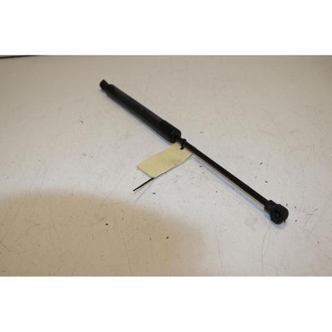 844307620R RENAULT Amortiguador de la tapa del maletero  disponible Alicante