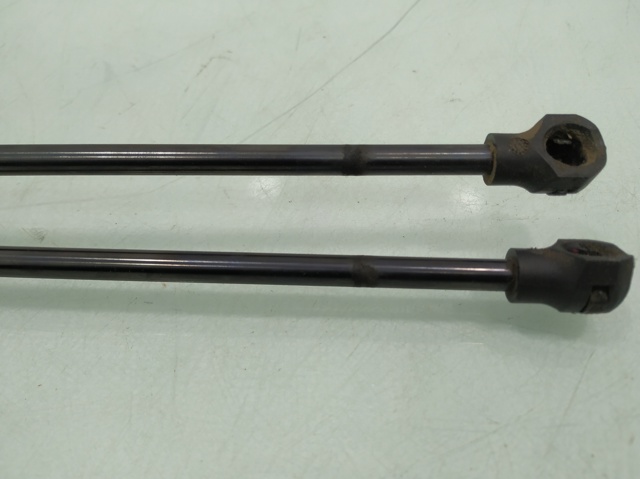 RENAULT 844307620R Amortiguador maletero  en stock Salamanca