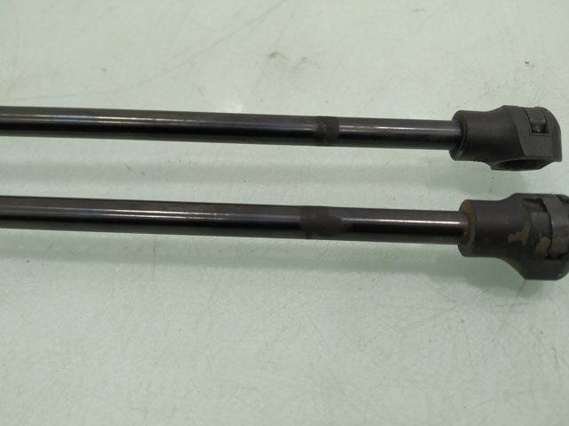 844307620R RENAULT Amortiguador de la tapa del maletero  comprar en Oviedo