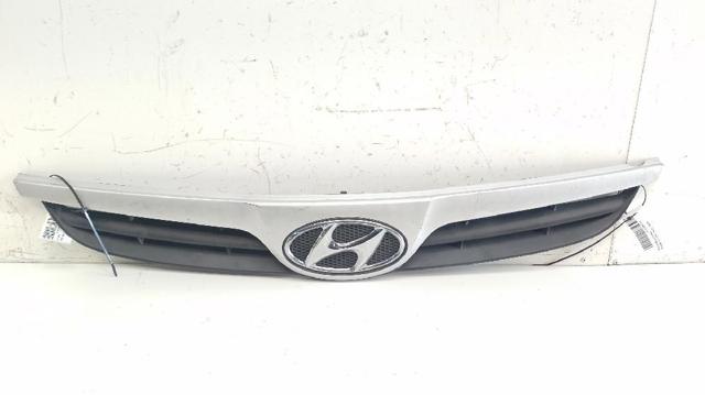 Comprar Parrilla del radiador Hyundai I20  PB a bajo precio