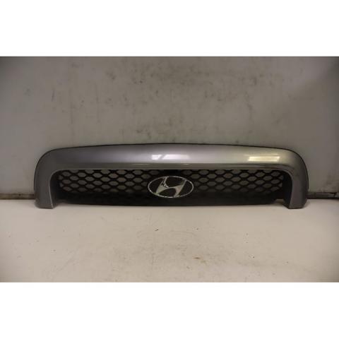 Rejilla para Hyundai Santa Fe I (SM)