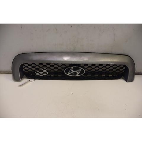 Rejilla de radiador Hyundai Santa Fe I (SM)