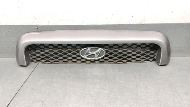 Calandra Hyundai Santa Fe I (2000-2006)