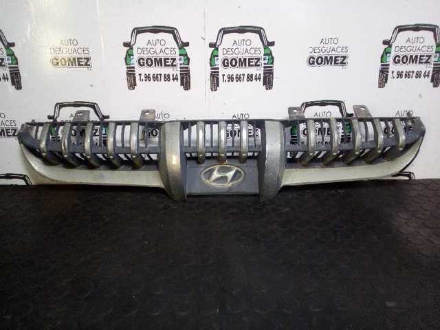 Comprar Parrilla del radiador Hyundai Sonata IV EF a bajo precio