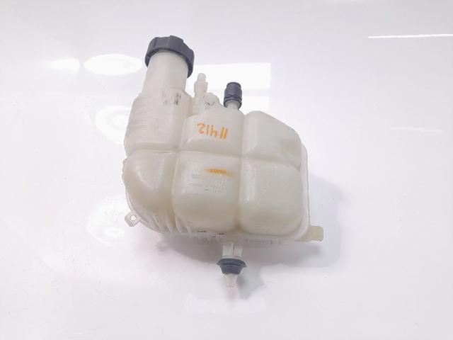 Botella expansion Mini COUNTRYMAN  desde 63,89 €