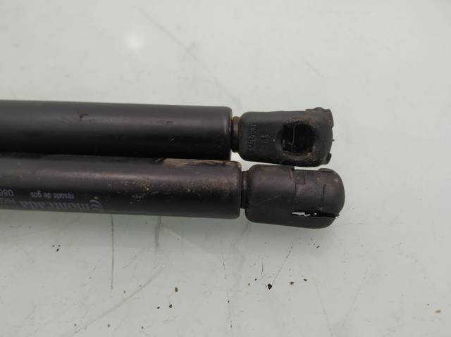 873193 Amortiguador de la tapa del maletero  disponible Burgos