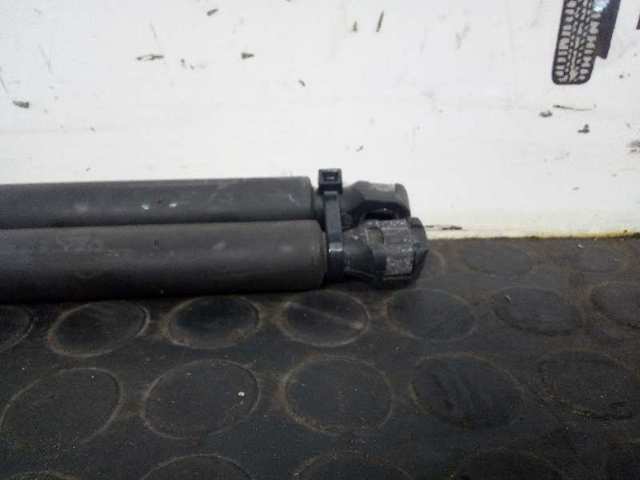 8731C0 Amortiguador de la tapa del maletero  disponible Málaga