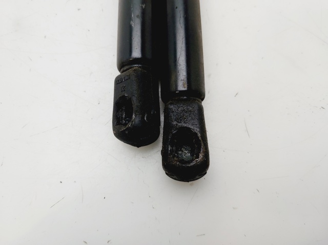 Amortiguador de maletero Peugeot 206 2A/C