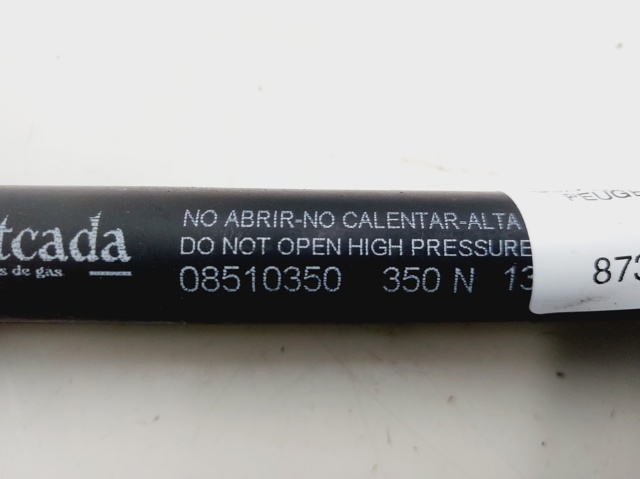 Amortiguador de maletero Peugeot 206 2A/C