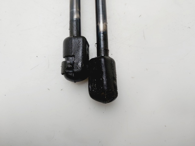 Amortiguador de maletero Peugeot 206 2A/C