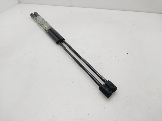 Amortiguador de maletero Peugeot 206 2A/C