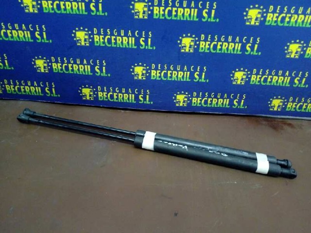 Amortiguador de maletero Peugeot 206 2A/C