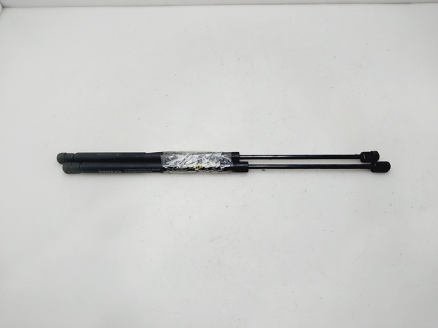 Amortiguador de maletero Peugeot 206 2A/C