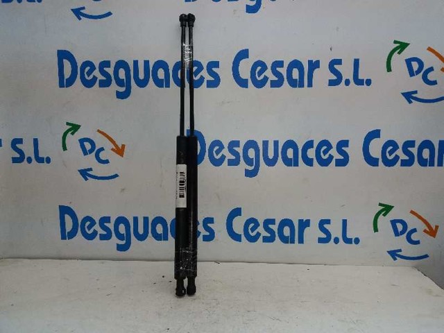 PEUGEOT 8731E6 Amortiguador maletero comprar Pamplona
