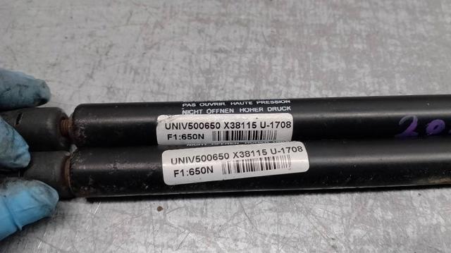 8731F8 Amortiguador maletero comprar Almería