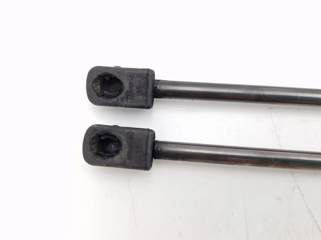 8731F8 PEUGEOT Amortiguador de la tapa del maletero  comprar en Lleida