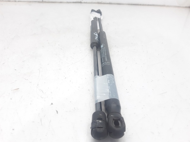 8731G3 PEUGEOT Amortiguador maletero comprar Alcalá
