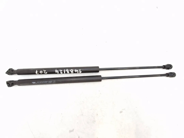 8731L7 PEUGEOT Amortiguador maletero  en stock Huelva
