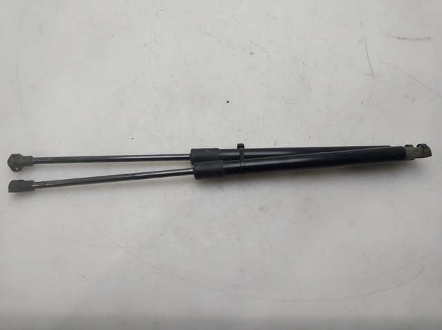 PEUGEOT 8731Q6 Amortiguador de la tapa del maletero  disponible Valladolid