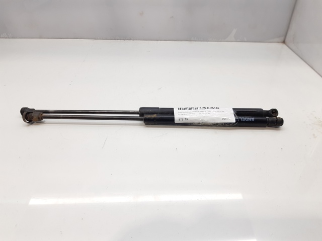 Amortiguadores de maletero Citroen C3 II (A51)