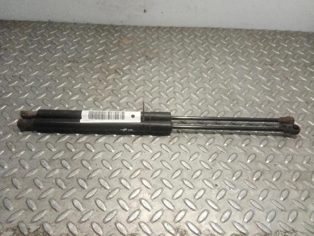 Comprar Amortiguador de puerta trasera C3 II A51
