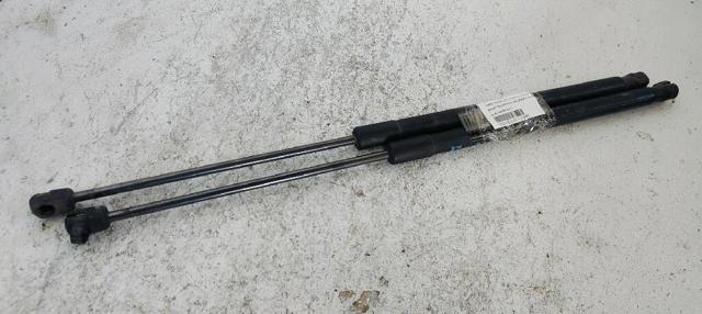 8A61A406A10AC Amortiguador de la tapa del maletero  disponible Málaga