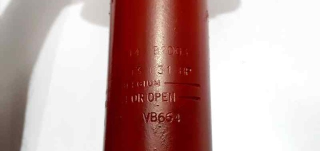 Amortiguador delantero Seat Exeo 3R5