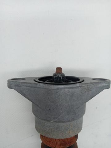 8E0513036R VAG Amortiguador trasero  comprar en Jaén