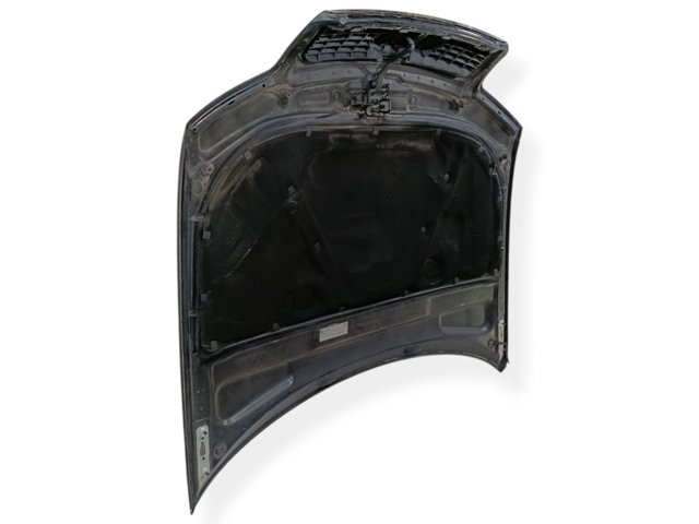 8E0823029 VAG Capó  comprar en Oviedo